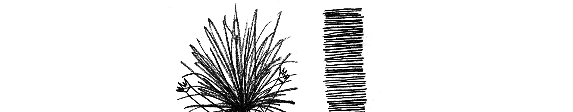 Benvinguda a residents