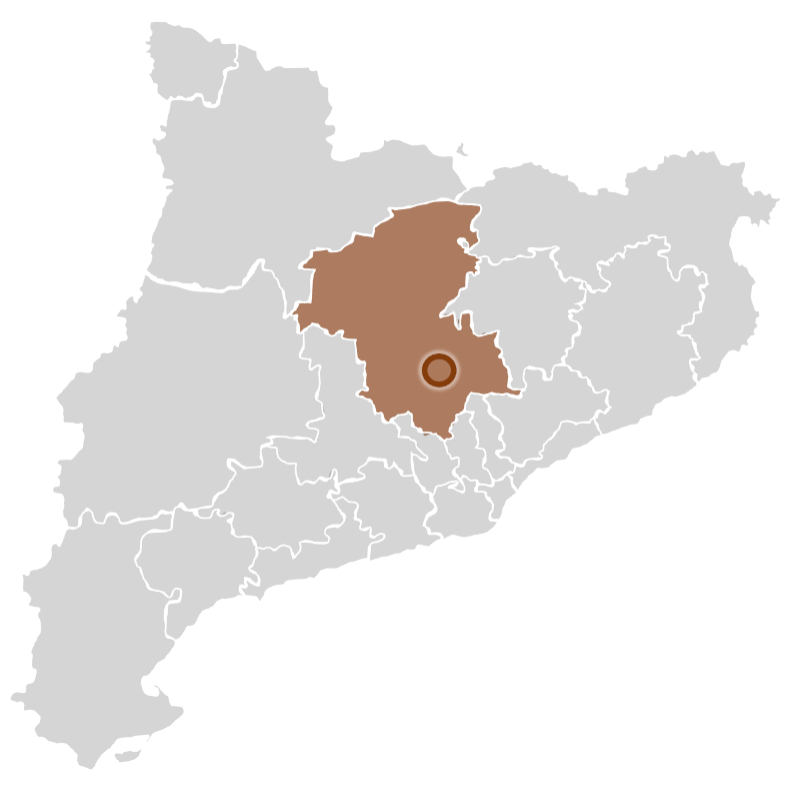 Manresa en el mapa de Catalunya